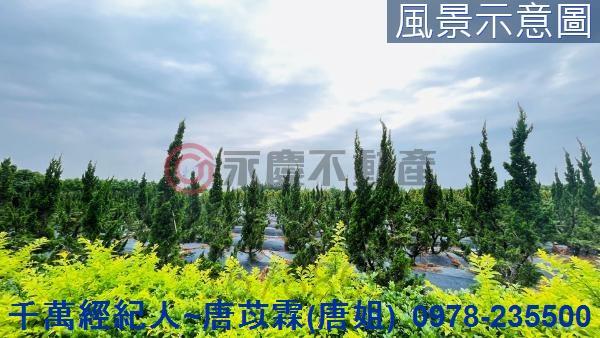 新竹農舍-1