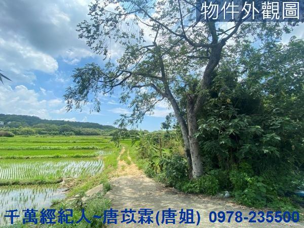 新竹竹東農地-0