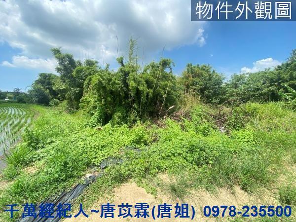 新竹竹東農地-1