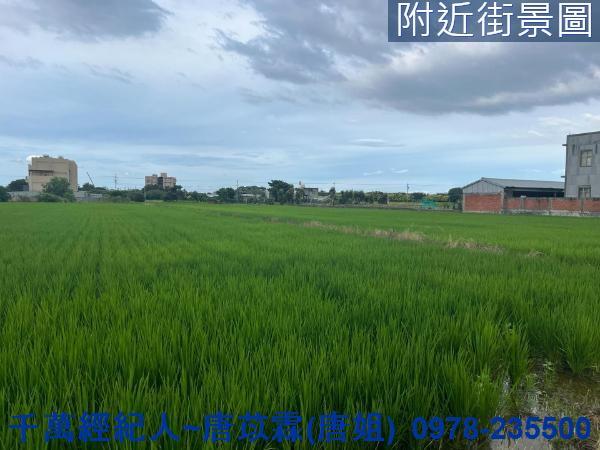 湖口農地-5