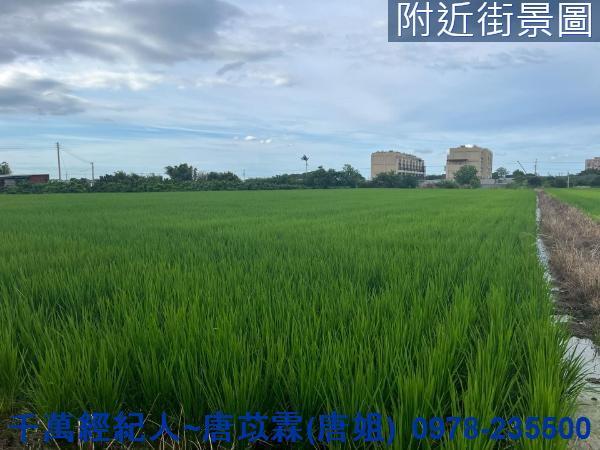 湖口農地-8