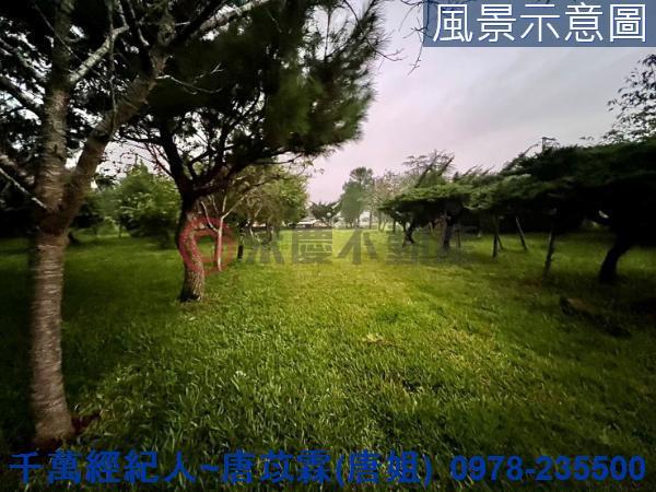 新竹關西農地-0