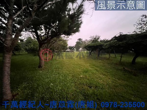 新竹關西農地-1
