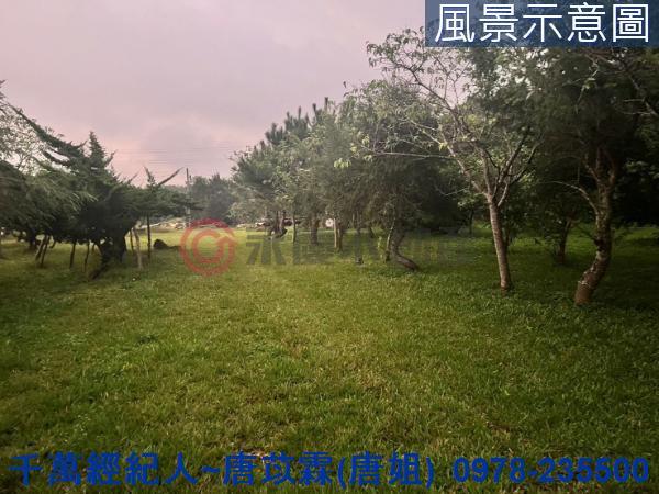 新竹關西農地-2