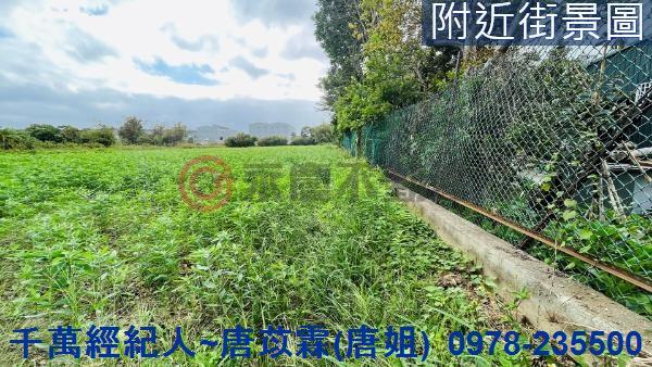 新竹新豐農地-2