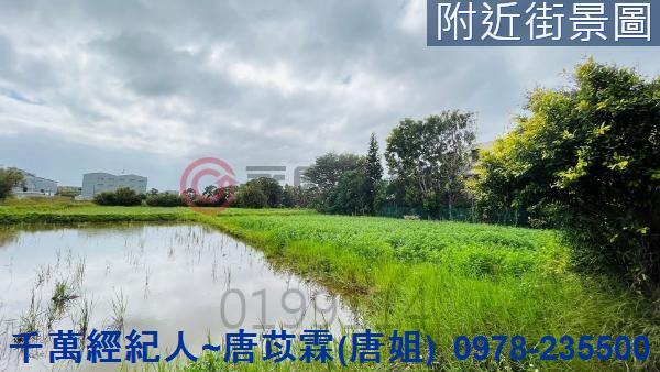 新竹新豐農地-3