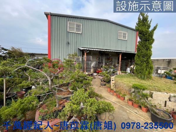 桃園新屋農地-10