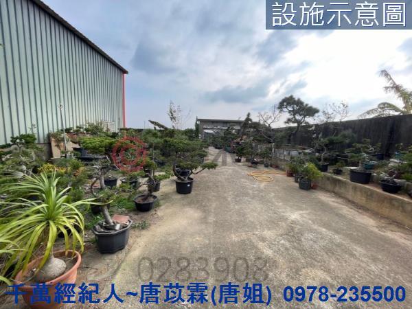 桃園新屋農地-11