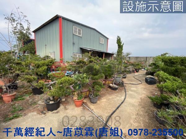 桃園新屋農地-0