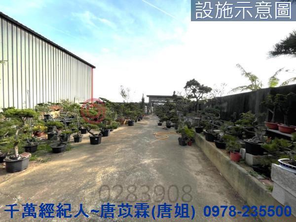 桃園新屋農地-1