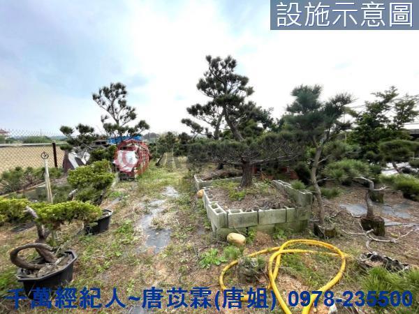 桃園新屋農地-3
