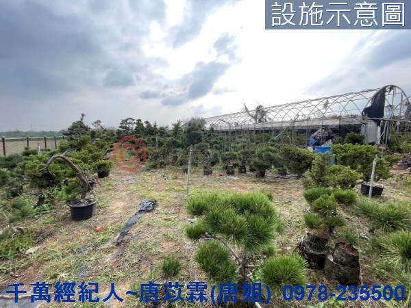 桃園新屋農地-4