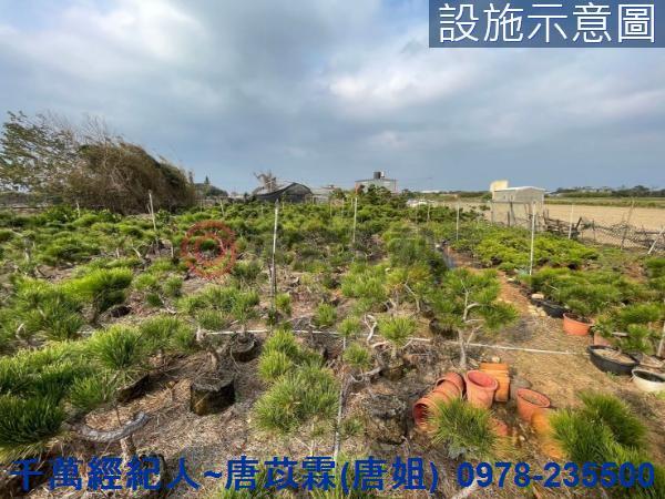 桃園新屋農地-5