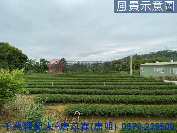 新竹農地-1