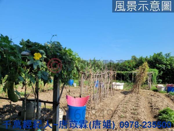 新竹農地-9