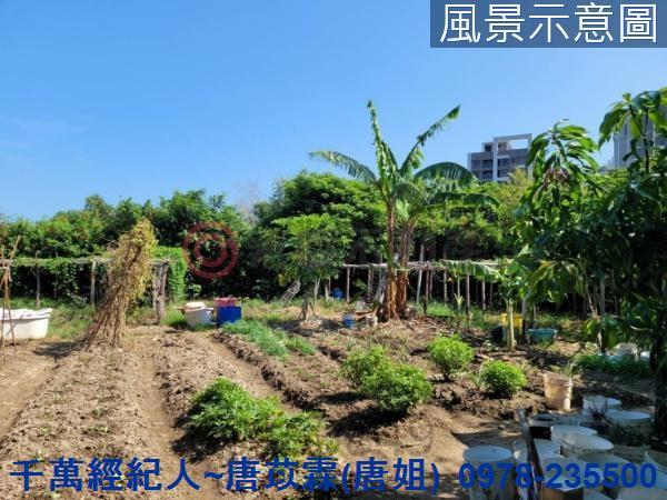 新竹農地-6