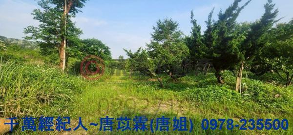 新竹湖口農地-0