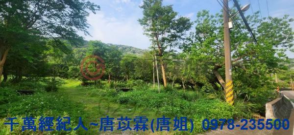 新竹湖口農地-8