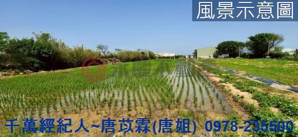 新竹新豐農地-0