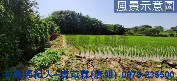 新竹新豐農地-1