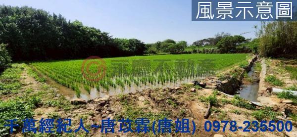 新竹新豐農地-2