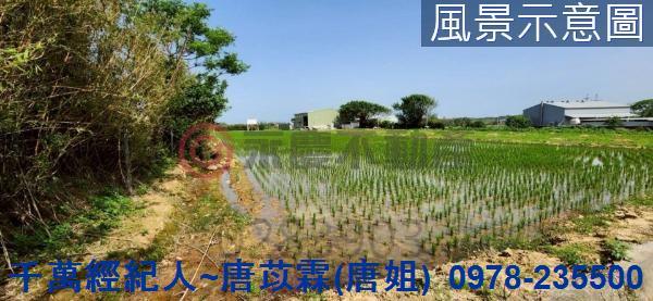 新竹新豐農地-3