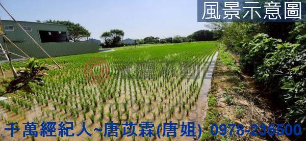 新竹新豐農地-4