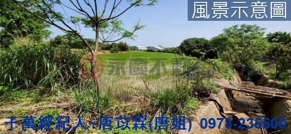新竹新豐農地-6