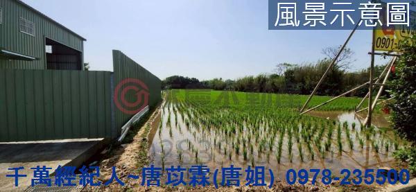 新竹新豐農地-7