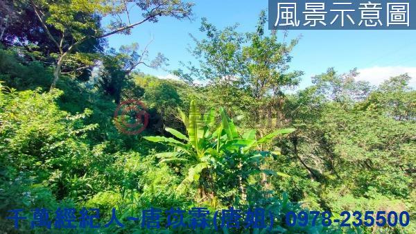 新竹芎林山坡地-7