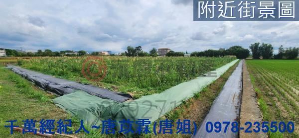 新竹湖口農地-4