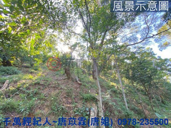 北區山坡地-1
