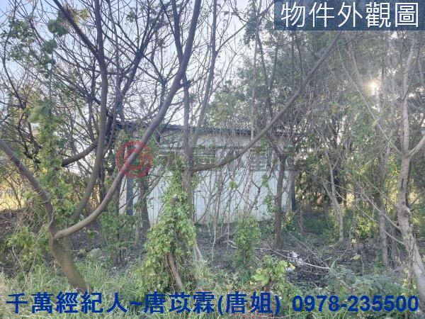 新竹竹北農地-4