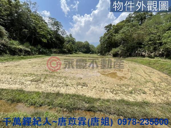 橫山農地-3
