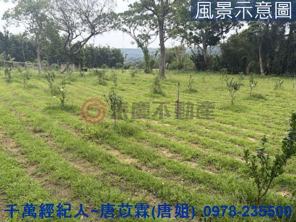 新竹關西農地-0