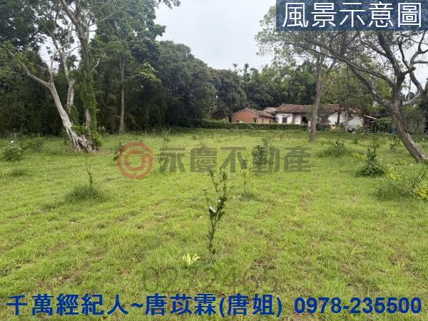 新竹關西農地-2