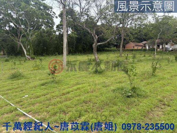 新竹關西農地-3