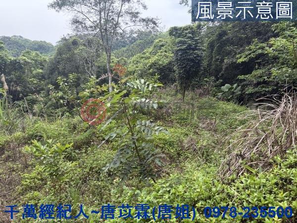 橫山山坡地-1