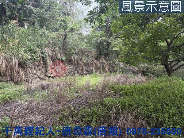 橫山山坡地-4