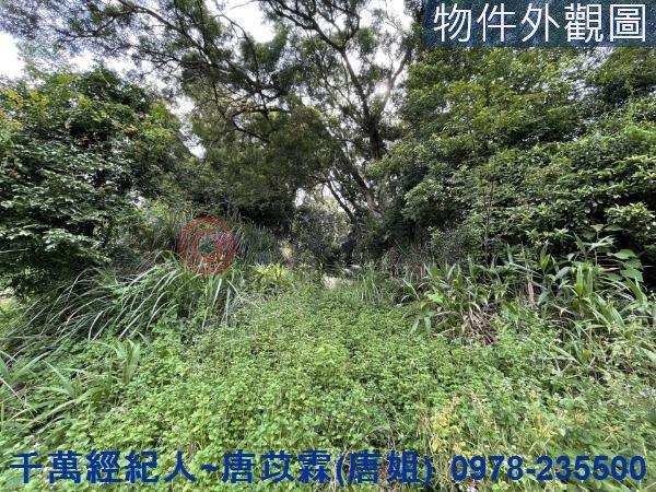 苗栗三灣農地-9