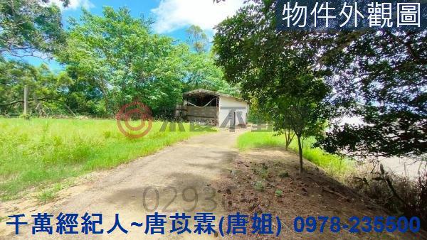 苗栗三灣農地-11