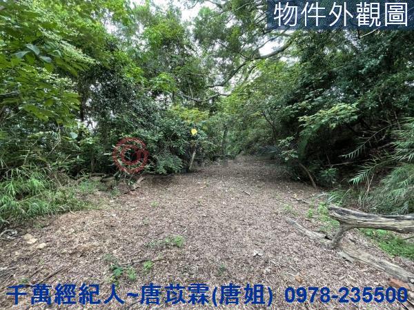 苗栗三灣農地-2