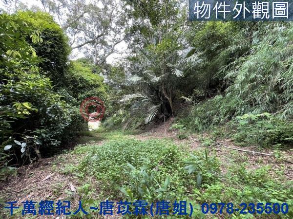 苗栗三灣農地-3