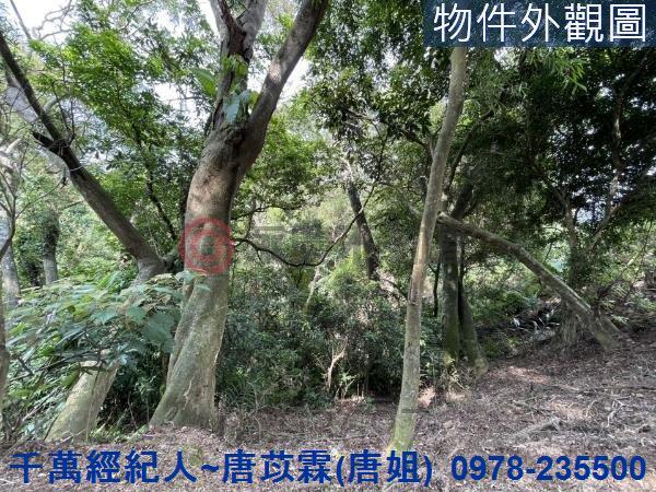 苗栗三灣農地-6