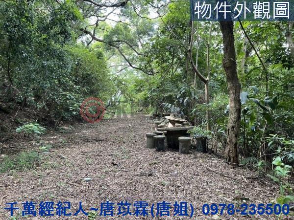 苗栗三灣農地-8