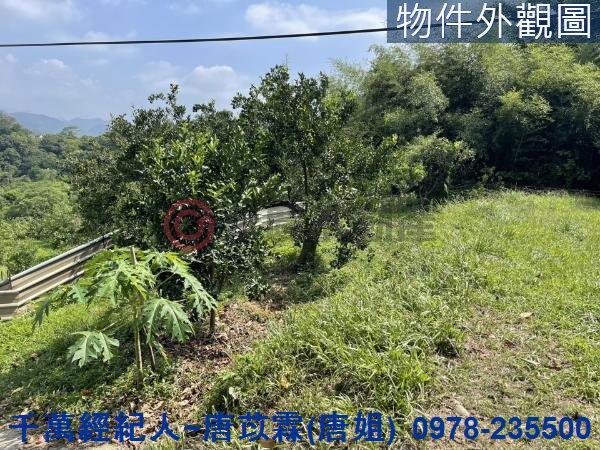 苗栗三灣農地-13