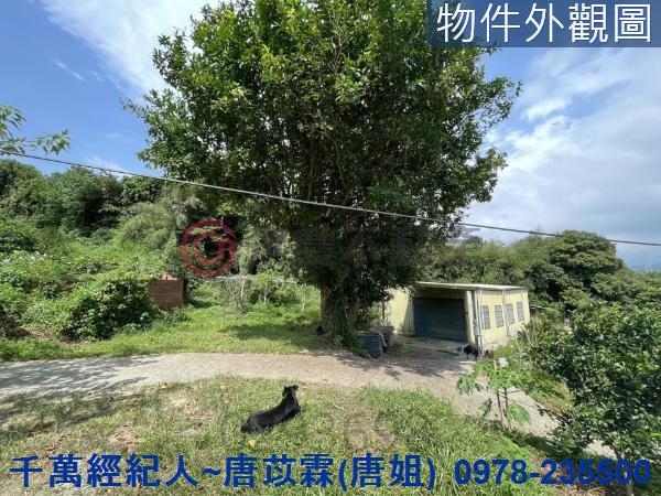 苗栗三灣農地-14