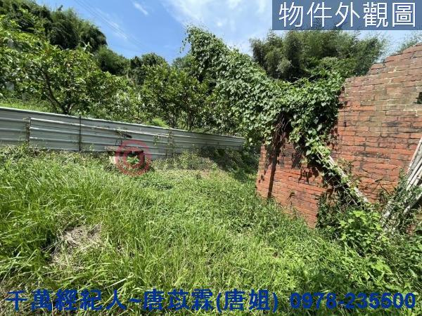 苗栗三灣農地-5
