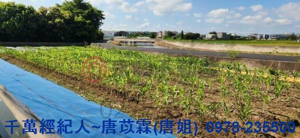 新竹湖口農地-11