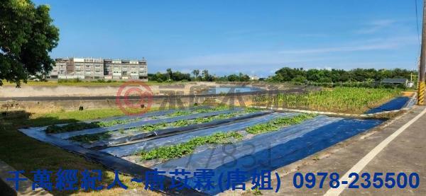 新竹湖口農地-3